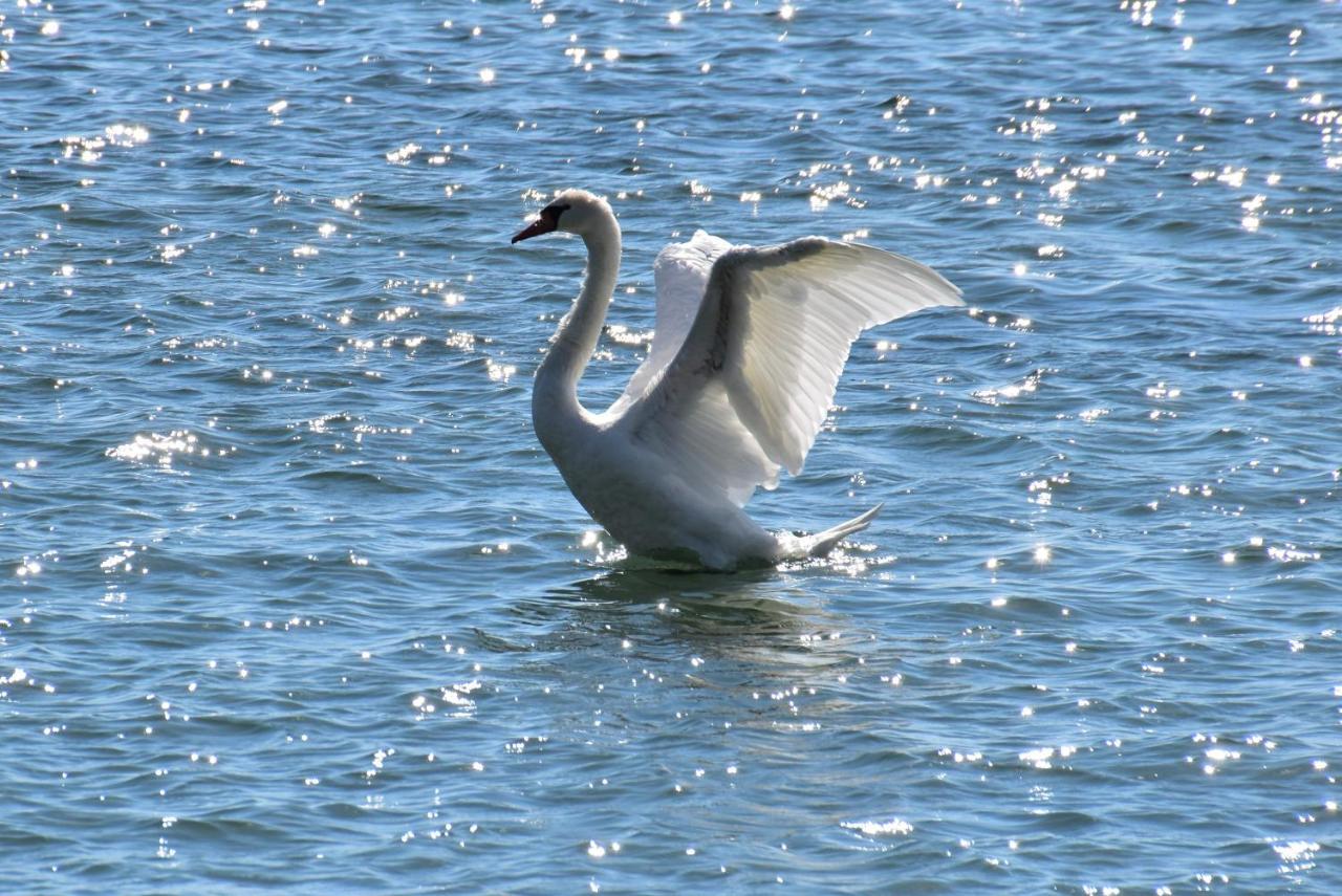 Strandhaus Eberle Immenstaad am Bodensee Zewnętrze zdjęcie